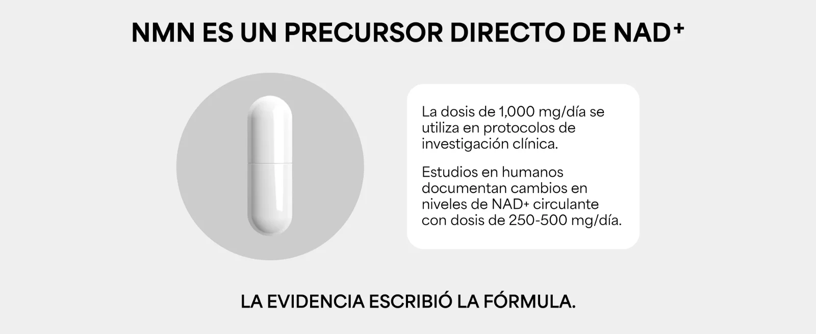 NMN ES UN PRECURSOR DIRECTO DE NAD+ · La dosis de 1,000 mg/día se utiliza en protocolos de investigación clínica. · Estudios en humanos documentan cambios en niveles de NAD+ circulante con dosis de 250-500 mg/día. · LA EVIDENCIA ESCRIBIÓ LA FÓRMULA. Cápsula blanca.
