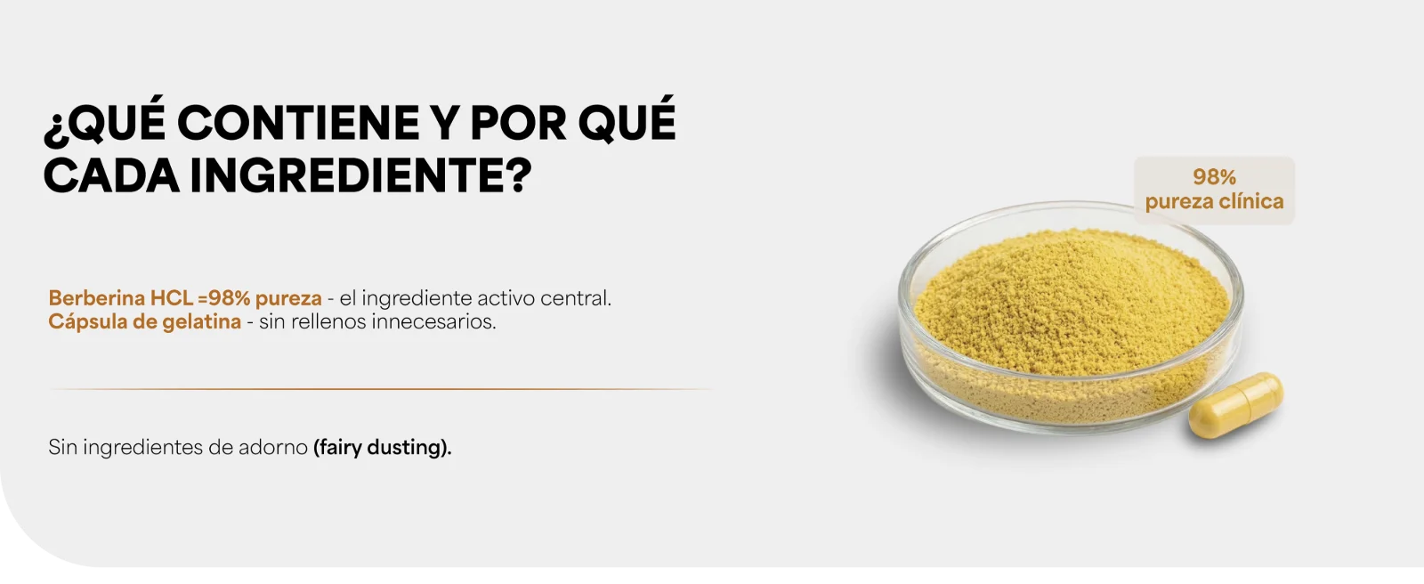 ¿Qué contiene y por qué cada ingrediente? Berberina HCl, 98% de pureza declarada – el ingrediente activo central · Cápsula de gelatina – sin rellenos innecesarios · Sin ingredientes de adorno (fairy dusting). Polvo de berberina en una caja de Petri junto a una cápsula.