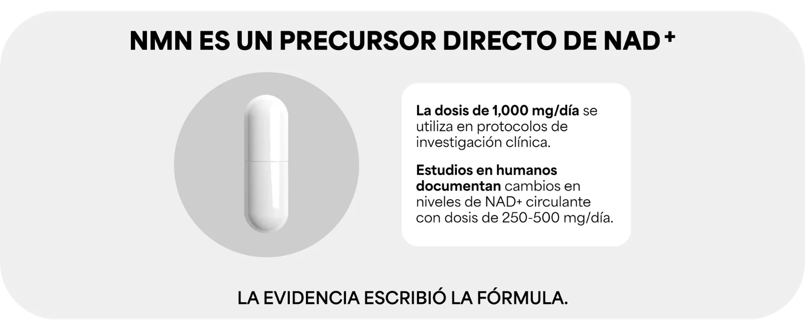 NMN ES UN PRECURSOR DIRECTO DE NAD+ · La dosis de 1,000 mg/día se utiliza en protocolos de investigación clínica. · Estudios en humanos documentan cambios en niveles de NAD+ circulante con dosis de 250-500 mg/día. · LA EVIDENCIA ESCRIBIÓ LA FÓRMULA. Cápsula blanca.