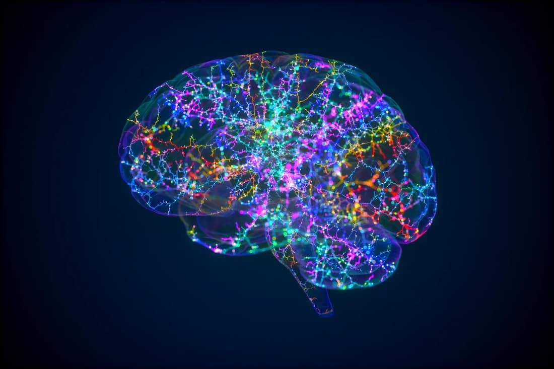 El turno de noche del cerebro: cómo se limpia mientras duermes