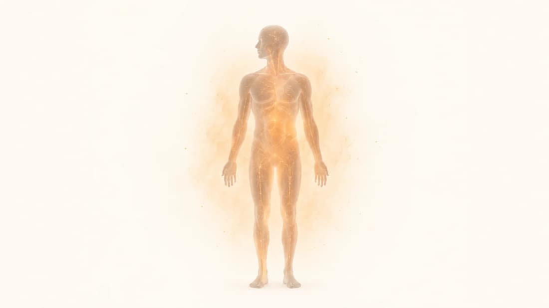 Inflammaging: por qué envejecer prende una inflamación que no sientes