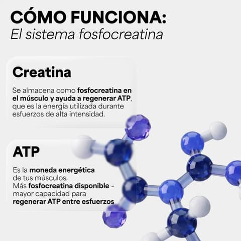 Creatina Monohidratada Micronizada